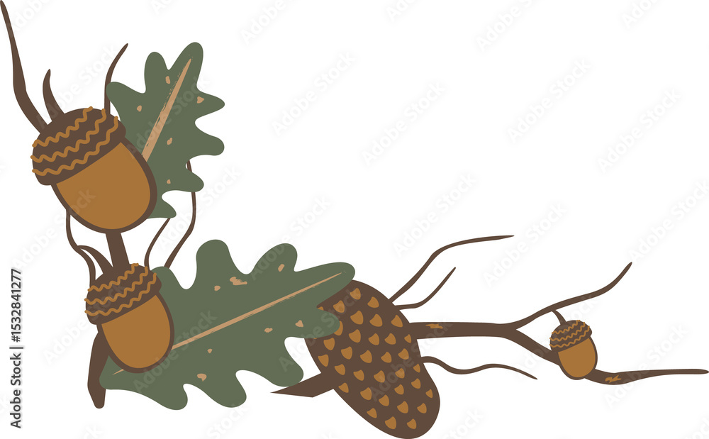 Poster flat vector design is showing oak branch with acorns and seed pod, transparent background