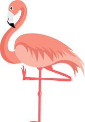 Flat vector flamingo is floating on transparent background, showing curved neck and coral plumage
