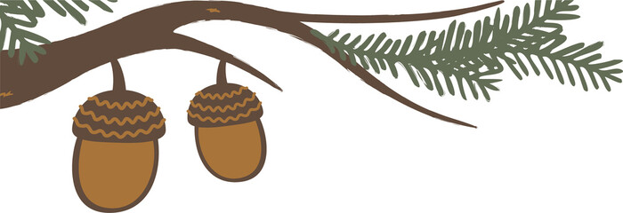 Two acorns are hanging from pine branch in flat vector style on transparent background