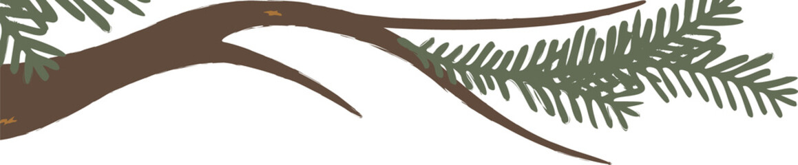 Conifer limb extending in flat design, showing pine needle clusters, transparent background