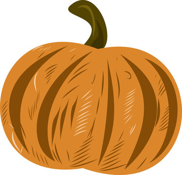 Fototapeta Showing stylized pumpkin with deep ribbing and curved green stem on transparent background