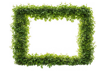 Green leaf frame isolated on black background