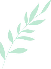 Stylized green leaf branch is showing flat design with narrow oval leaves on transparent background