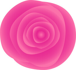 Abstract pink rose-like form is blooming in flat design, gradient petals on transparent background