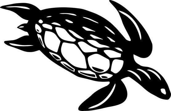 Stylized B and W sea turtle swimming on transparent background with geometric shell design, copy spa