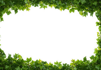 Green leaf border frame on black background