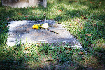 Flowers on a Grave