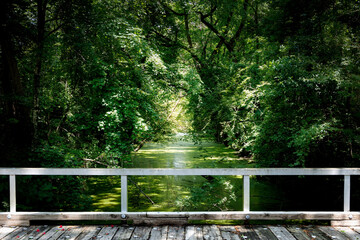 Pocaty River