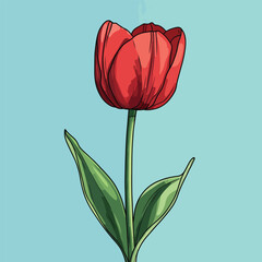 Vibrant Red Tulip with Green Leaves and Detailed Outlines on Blue