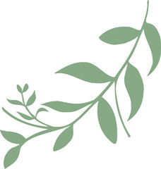 Stylized green branch is curving in flat style, with leaves and offshoots on transparent background
