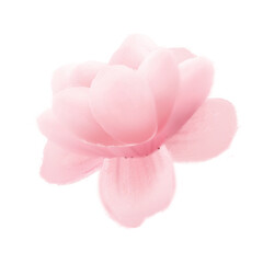 Pink blossom is displaying radial layered petals in 3D digital rendering, transparent background