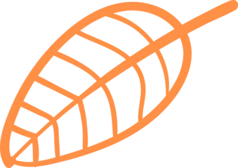 Gardinen Simple orange leaf outline is showing in flat design on transparent background with stem and veins © vectorfusionart
