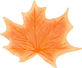 Stylized maple leaf is displaying watercolor texture with vein patterns on transparent background