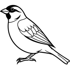 Sparrow Shape line art vector