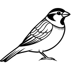 Sparrow Shape line art vector