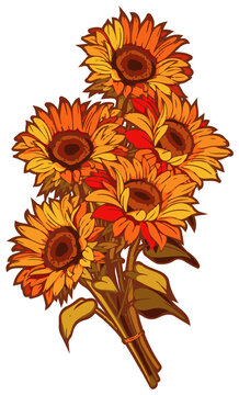 Fototapeta Stylized sunflower bouquet is floating in bold outline overlapping petals on transparent background