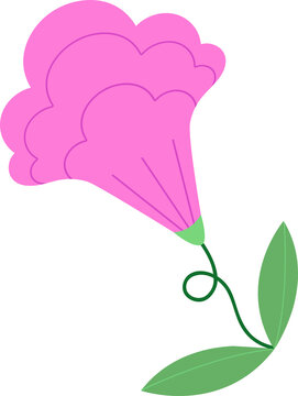 Fototapeta Stylized vector pink bloom floating on transparent backdrop, featuring curly green stem and leaves