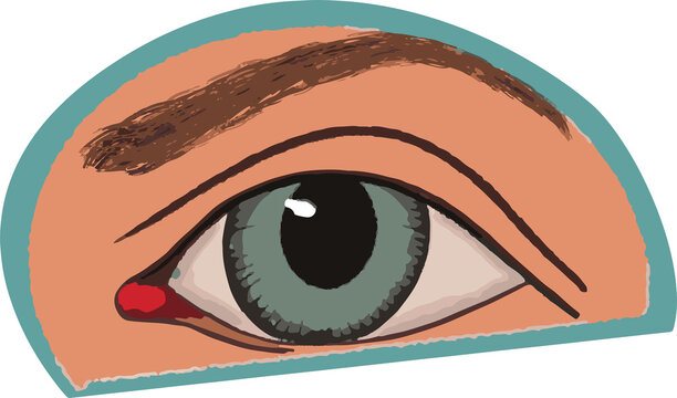 Fototapeta Flat stylized eye art is being shown on transparent background with green iris and teal outline