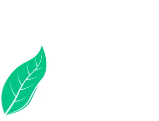 Gardinen Stylized green leaf design is framing Buon Ferragosto hand-lettered text on transparent background © vectorfusionart