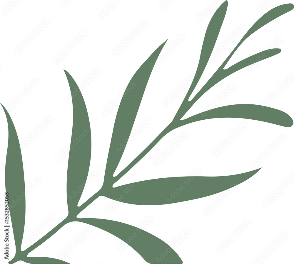 Poster stylized leafy branch is extending diagonally on transparent canvas, showing smooth pointed leaves