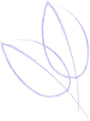 Gardinen Minimalist vector art is showing three periwinkle leaf outlines floating on transparent background © vectorfusionart
