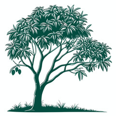Stylized illustration of a mango tree