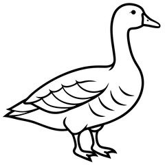 Elegant Snow Goose Vector in Monochrome