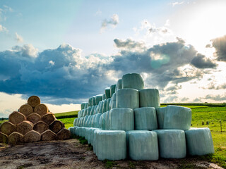 Stroh und Silageballen lagern vor einem Kuhstall