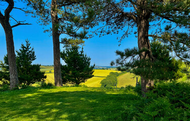 Fototapety na wymiar - Fototapeta24.pl