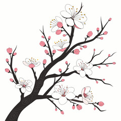 Elegant blossom branch with pink and white flowers