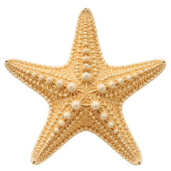 Starfish with intricate patterns in neutral beige color  