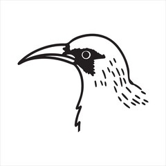 Red-legged Honeycreeper Bird – Colorful Rainforest Species from the Americas