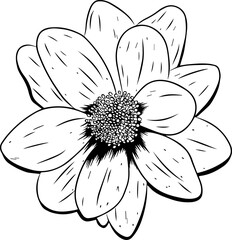 Stylized bloom is being shown in line art, stippled center, veined petals on transparent background