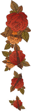 Fototapeta Flat vector illustration is showing cascading rose garland with leaves on transparent background