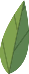 Gardinen Single stylized botanical leaf is floating as flat vector illustration, with transparent background © vectorfusionart