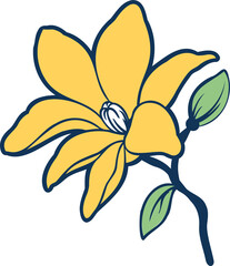 Yellow six-petaled flower is showing stem, leaves, bud, outline in vector on transparent background