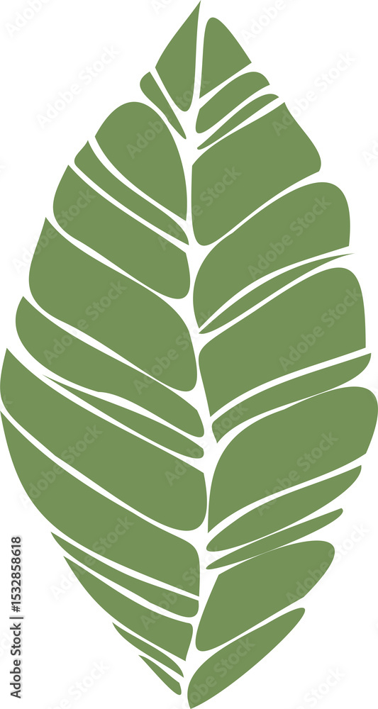 Poster segmented green leaf in flat design is floating on transparent background with tropical motif