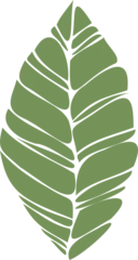 Gardinen Segmented green leaf in flat design is floating on transparent background with tropical motif © vectorfusionart