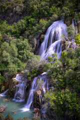 cascade falling through the lush vegetation, Campillo waterfall, in the natural park of the Alto Tajo in Guadalajara, vertical
