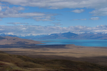 Stunning views of Lago Argentino, El Calafate, with mountain landscapes, vibrant flower macros, and foxes in Patagonia's pristine wilderness.