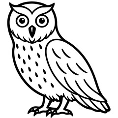 Snowy Owl Minimalist Line Art on White Canvas