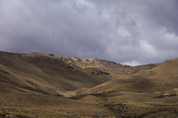 Stunning views of Lago Argentino, El Calafate, with mountain landscapes, vibrant flower macros, and foxes in Patagonia's pristine wilderness.