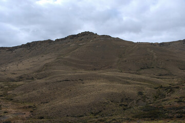 Stunning views of Lago Argentino, El Calafate, with mountain landscapes, vibrant flower macros, and foxes in Patagonia's pristine wilderness.