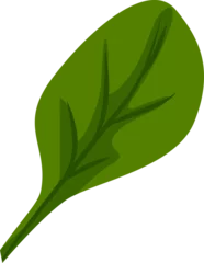 Gardinen Stylized green leaf is floating in vector art with darker green veins on transparent background © vectorfusionart