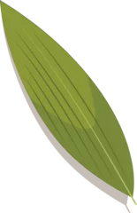 Gardinen Stylized lanceolate leaf is displaying veins in flat design on transparent background, copy space © vectorfusionart