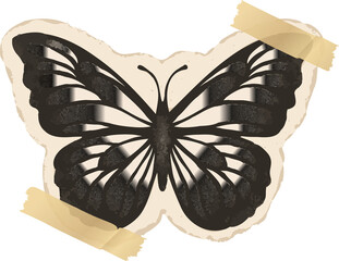 Flat-design butterfly is being taped to cream outline with aged tape on transparent bg, copy space