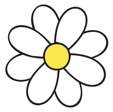 Fototapeta Vector art is showing daisy-like flower on transparent background with seven petals yellow center