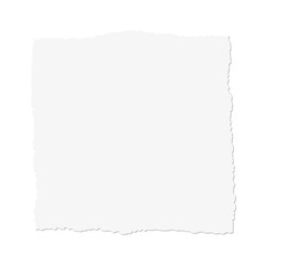 Displaying torn white paper featuring jagged edges and subtle shadowing on transparent background