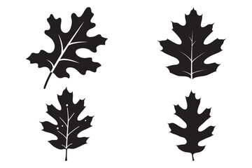 set of autumn leaves silhouette 