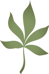Gardinen Stylized seven-part green leaf is being shown in flat design, transparent background © vectorfusionart